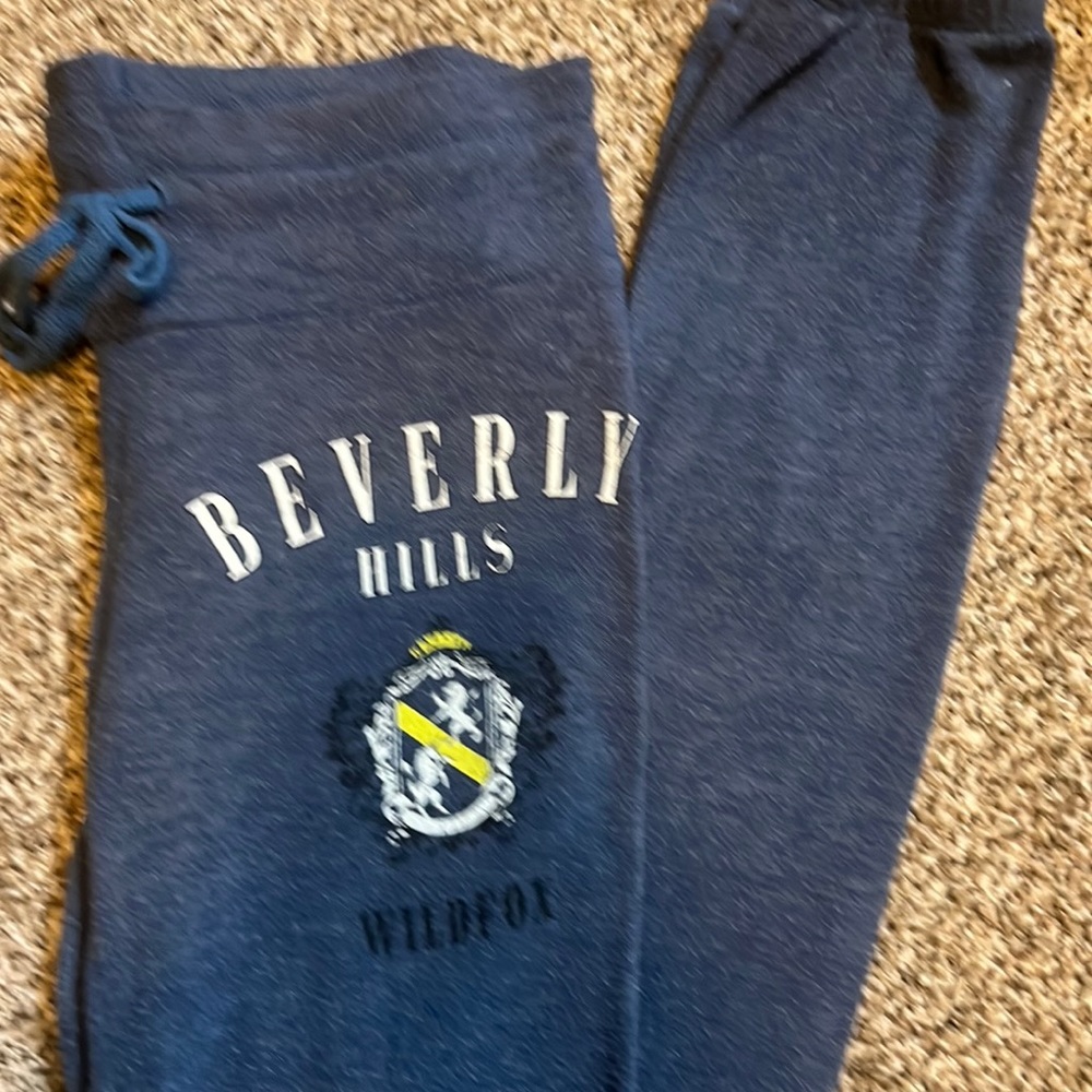 Blue wildfox light sweats